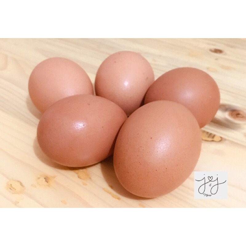 

Fresh | Telur ayam 10 butir