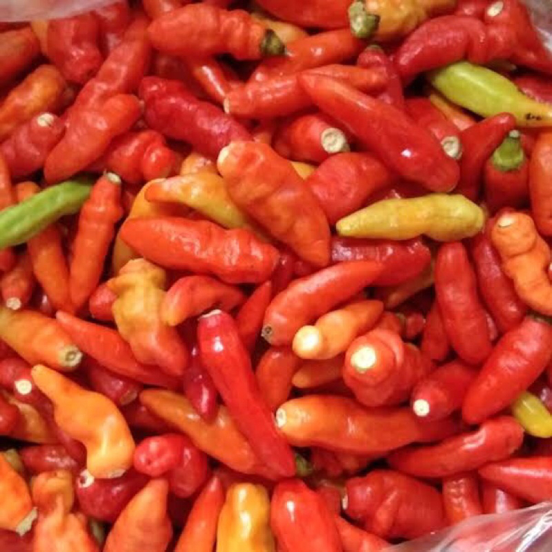 

CABE RAWIT MERAH TAMPA TANGKAI 100 GRAM