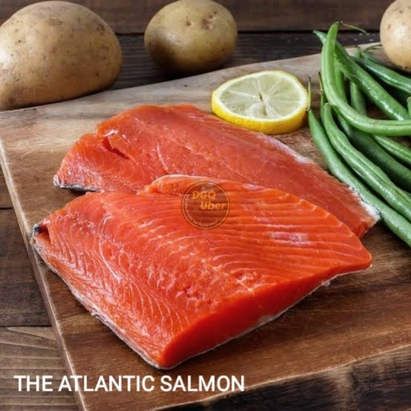 

Ikan Salmon Atlantik | Salmon Fillet