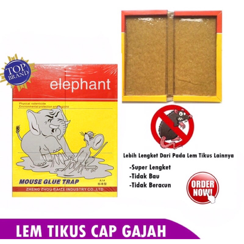

Lem Elephant Papan