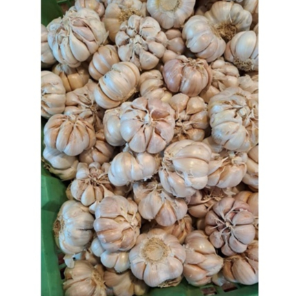 

Bawang Putih Bulet 500 gram