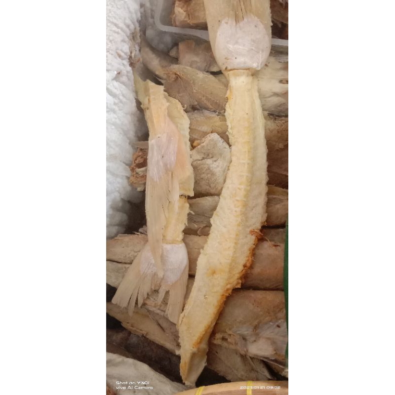 

tulang jambal roti super