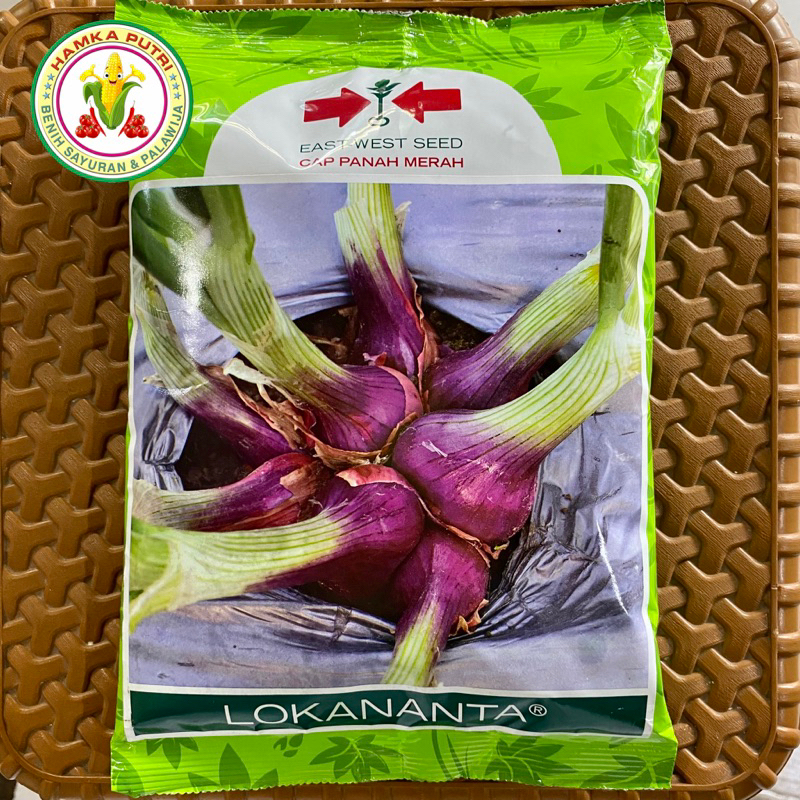 Bawang Merah SANREN F1 + LOKANANTA F1 500 gram