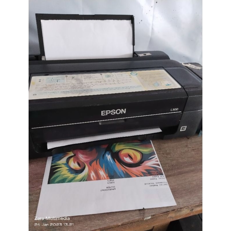 printer epson L300 second