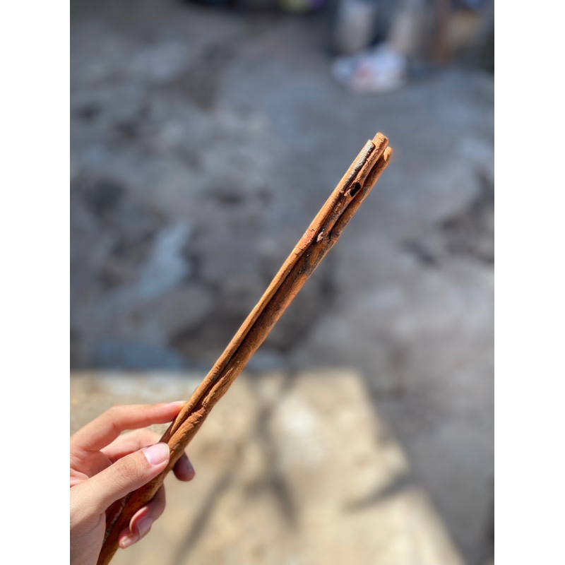 

kayu manis batang kering