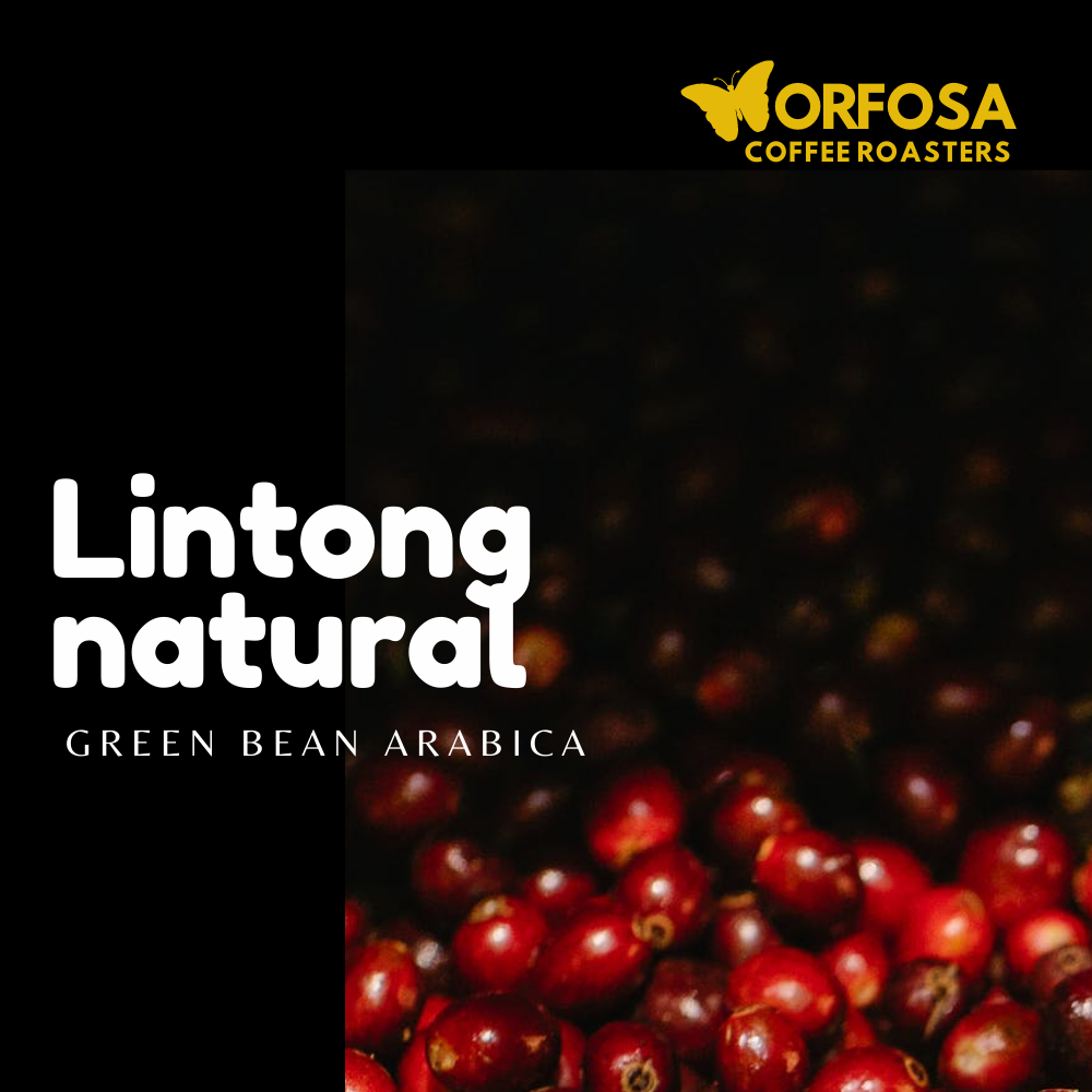 

Green Bean Kopi Arabika Lintong Natural 500g Biji Kopi Mentah Greenbean Coffee Bean