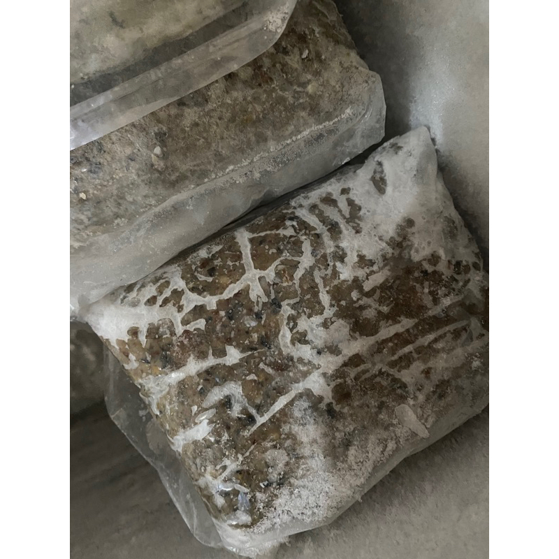 

KULIT 1KG