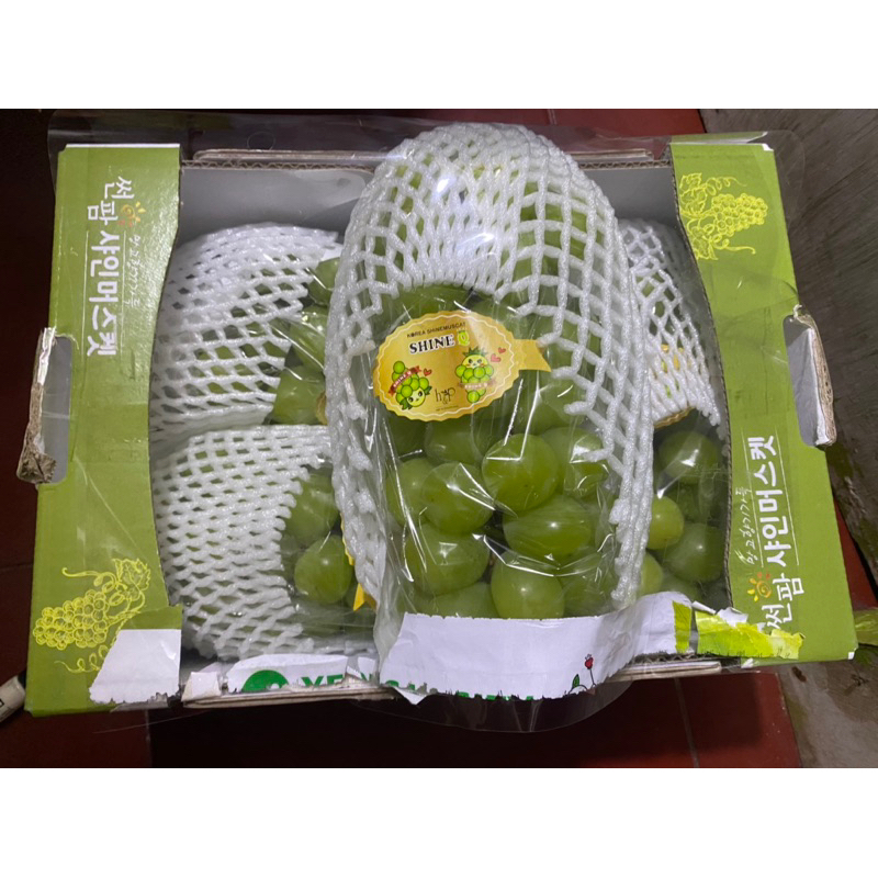 

ANGGUR SHINE MUSCAT KOREA ORIGINAL BOX 2 KG /BUAH ANGGUR MUSACAT KOREA