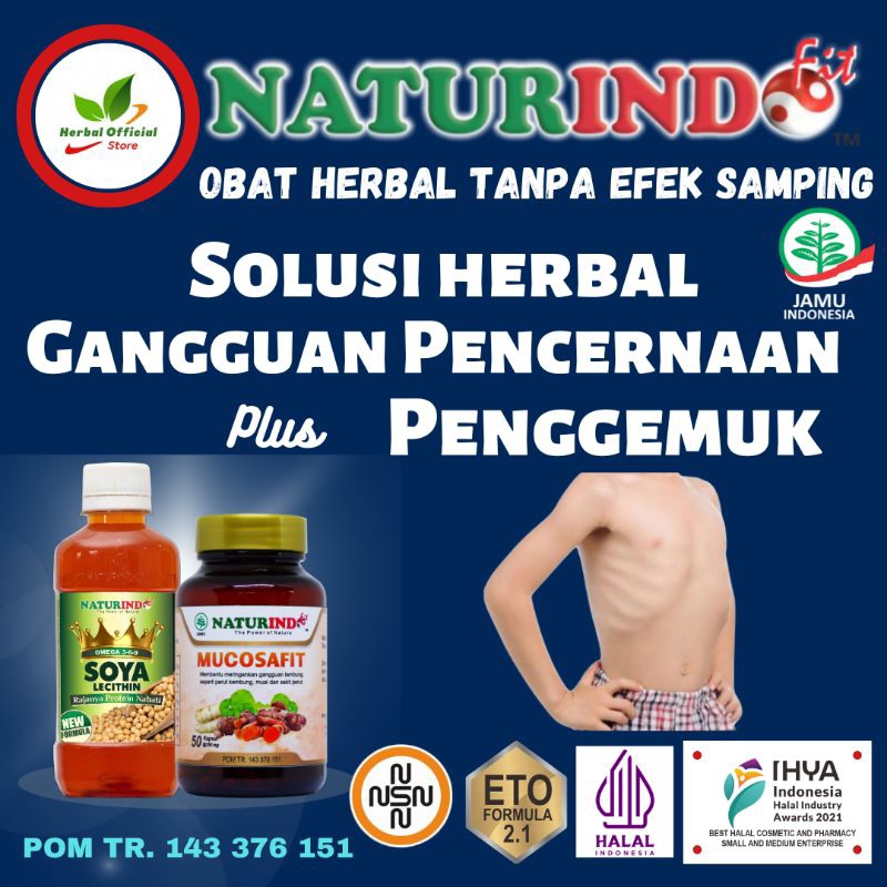 Obat Herbal Penggemuk Badan Obat Kurus karena Gangguan Pencernaan Penggemuk Badan Obat Penggemuk Amp