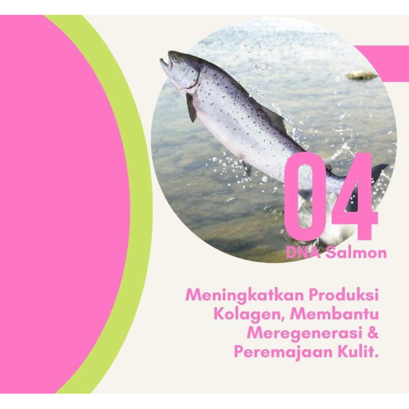 MASKER  DAN SABUN DNA SALMON GEMPITA | ECER SATUAN