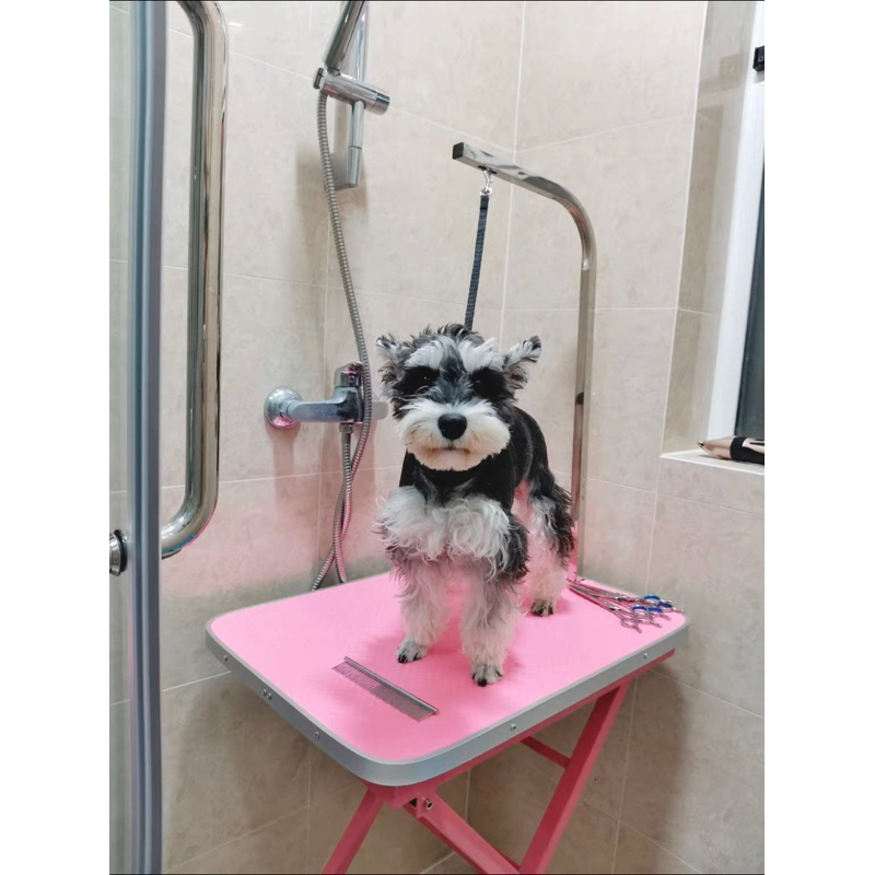 Portable Pet Grooming TABLE