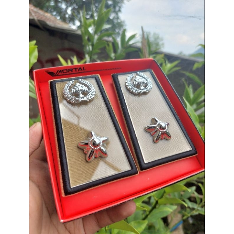 Pangkat asn lampung 3a lis hitam - pangkat bengkulu 3a lis hitam