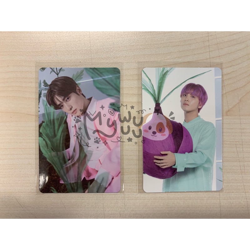 PC NCT 127 HERBOLOGY HAECHAN JAEHYUN