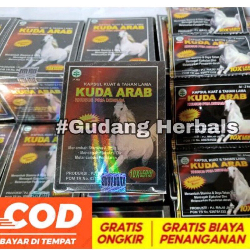 kuda arab kapsul original