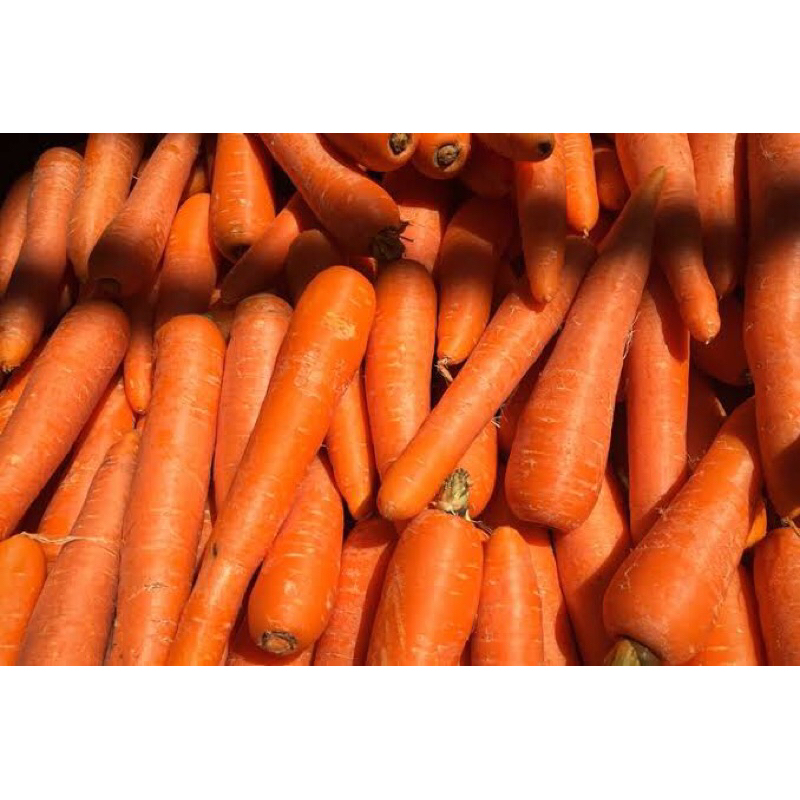 

Wortel Brastagi per 1kilo