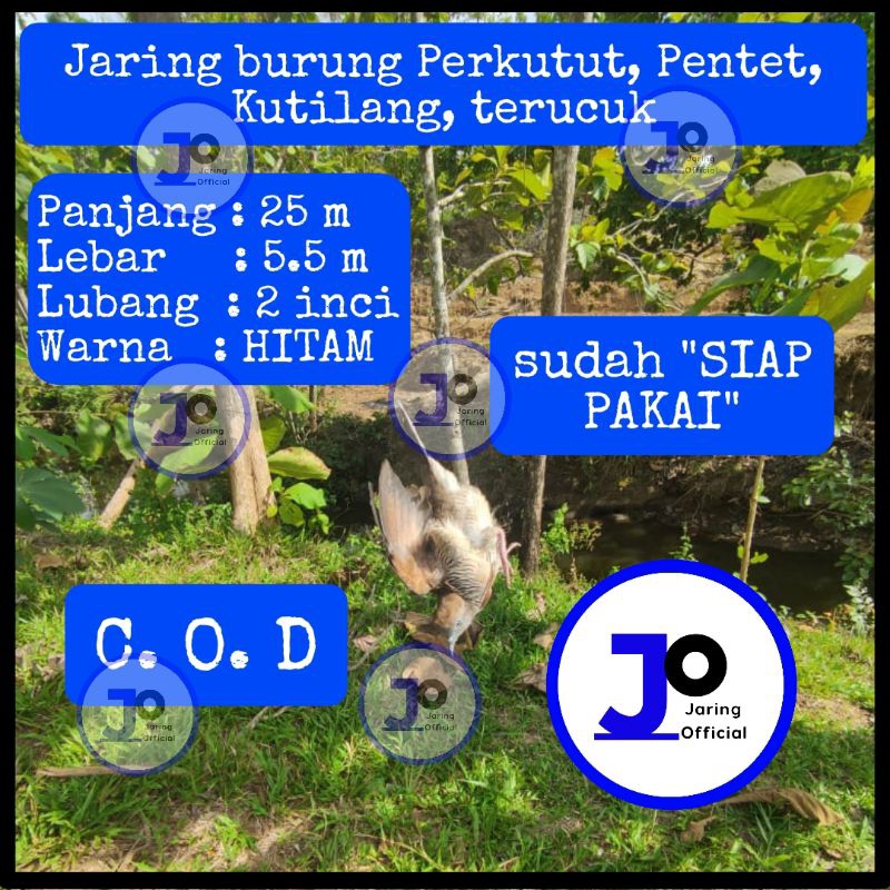 jala burung perkutut 25x5 meter, perangkap kutilang jaring burung kacer jebakan burung poci jaring b