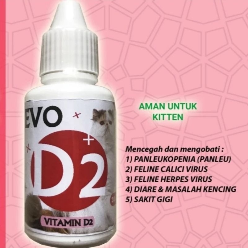 EVO D2 VITAMIN OBAT KUCING