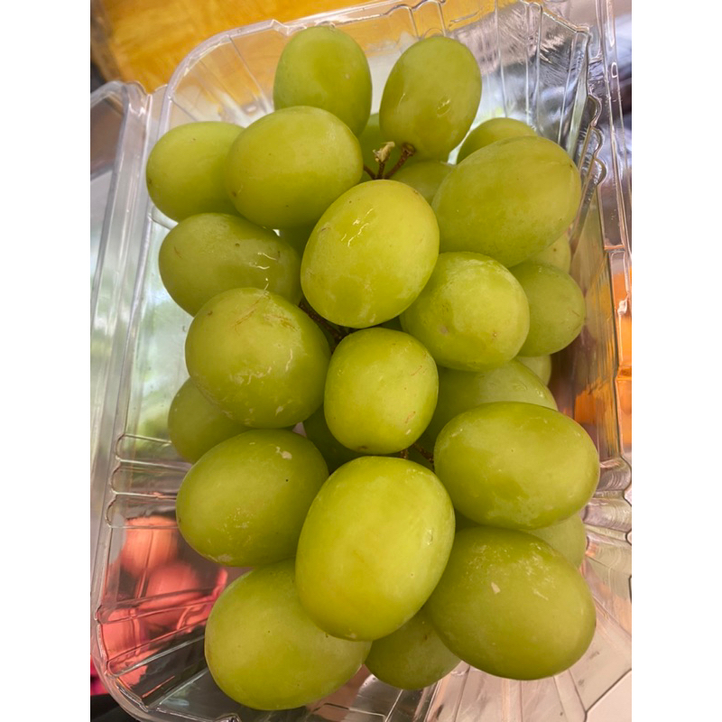 

ANGGUR GARING MANIS/ ANGGUR HIJAU AUTUM CRISPY 1 KG/ BUAH ANGGUR