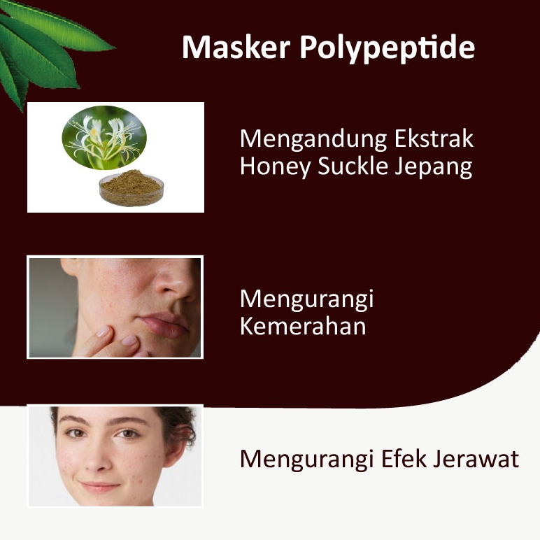 Masker DR SCHATZ Terlihat Tampak Lebih Muda - 5pcs