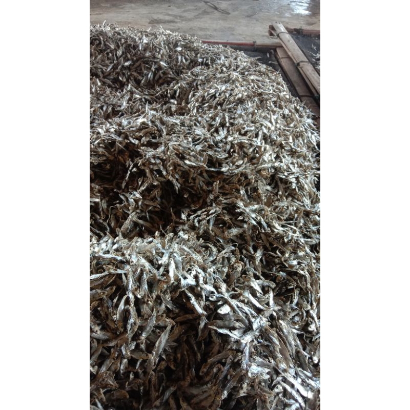 

ikan asin fres