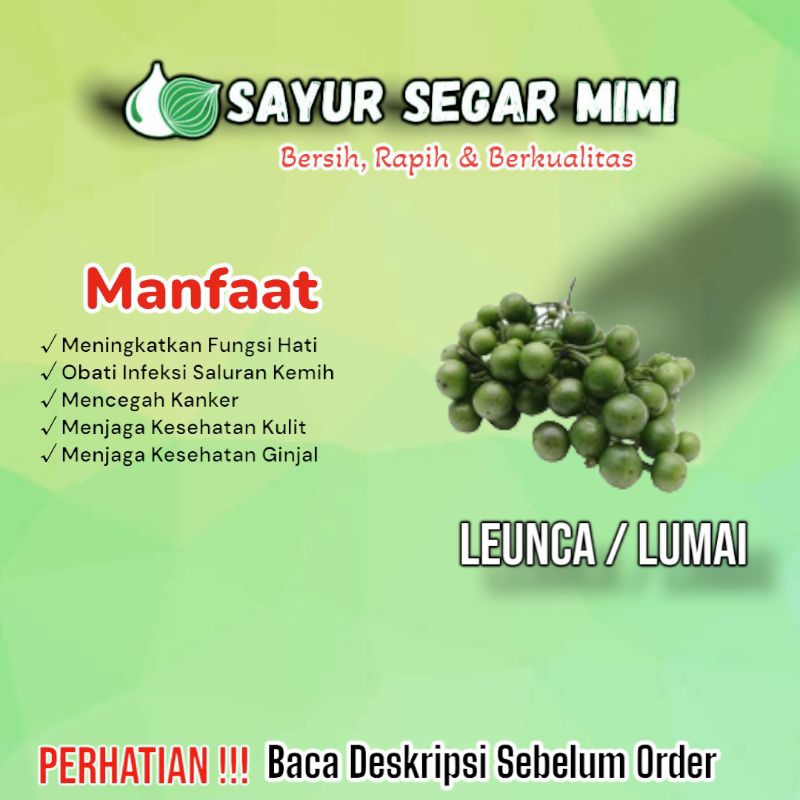 

Buah Leunca/ Buah Lumai - Sᴀʏᴜʀ Sᴇɢᴀʀ ♏ɪᴍɪ