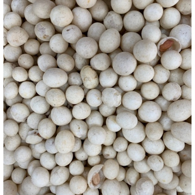 

Kacang Sukro 100g