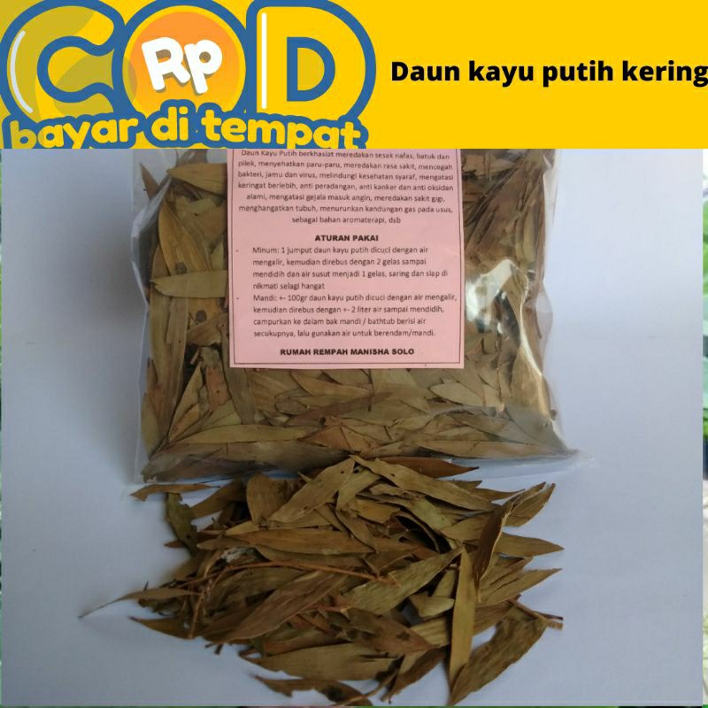 

daun kayu putih kering