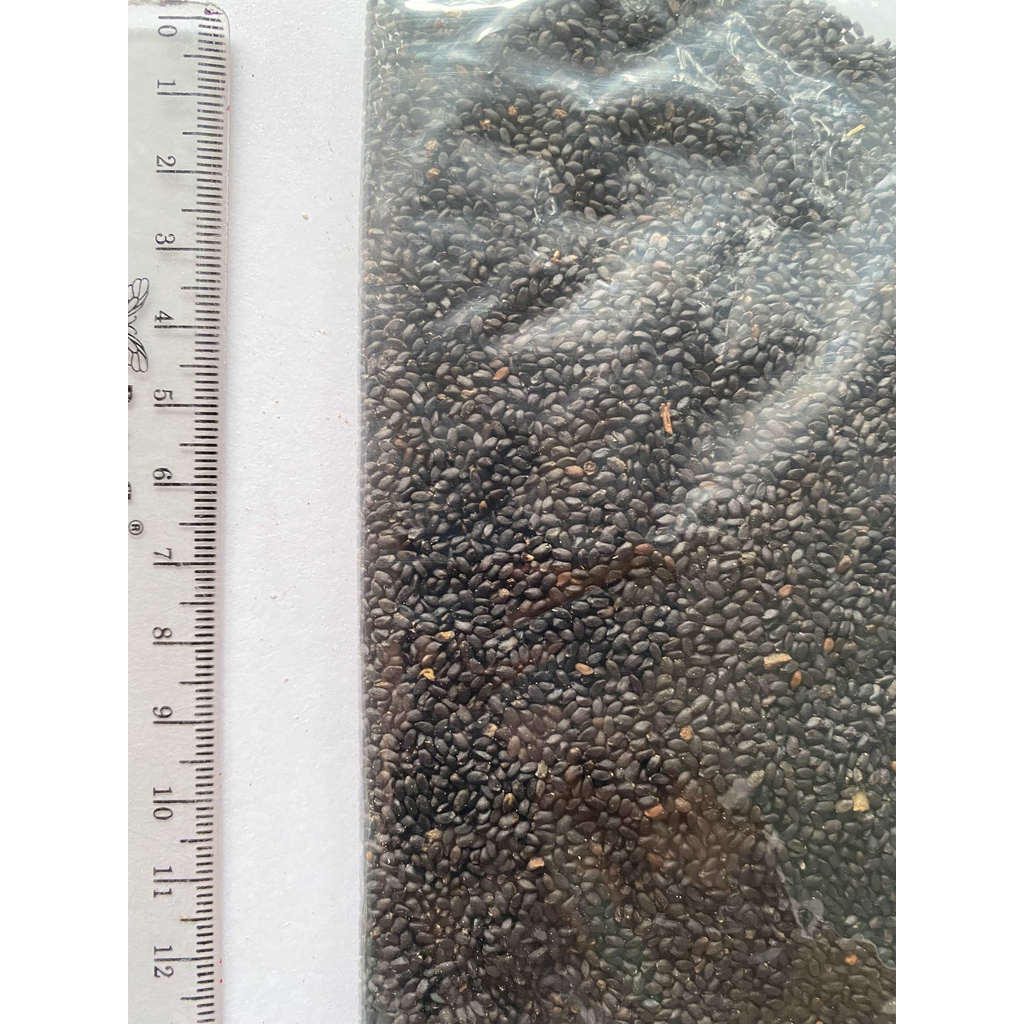 

Che Qian Zi / Plantain Seed / 车前子 100 gram