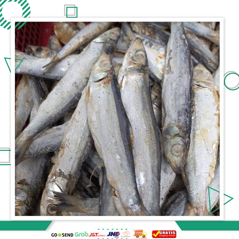 

Ikan Asin Japu Lesi 100 gram