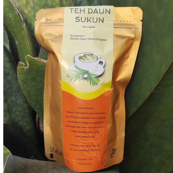 Teh Daun Sukun Trifian Herbal Tulungagung