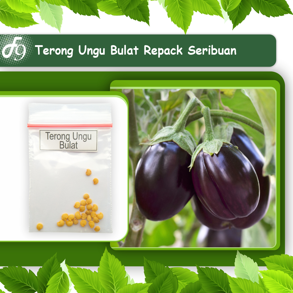 Benih Bibit Sayuran Buah Lengkap Murah Repack Seribuan