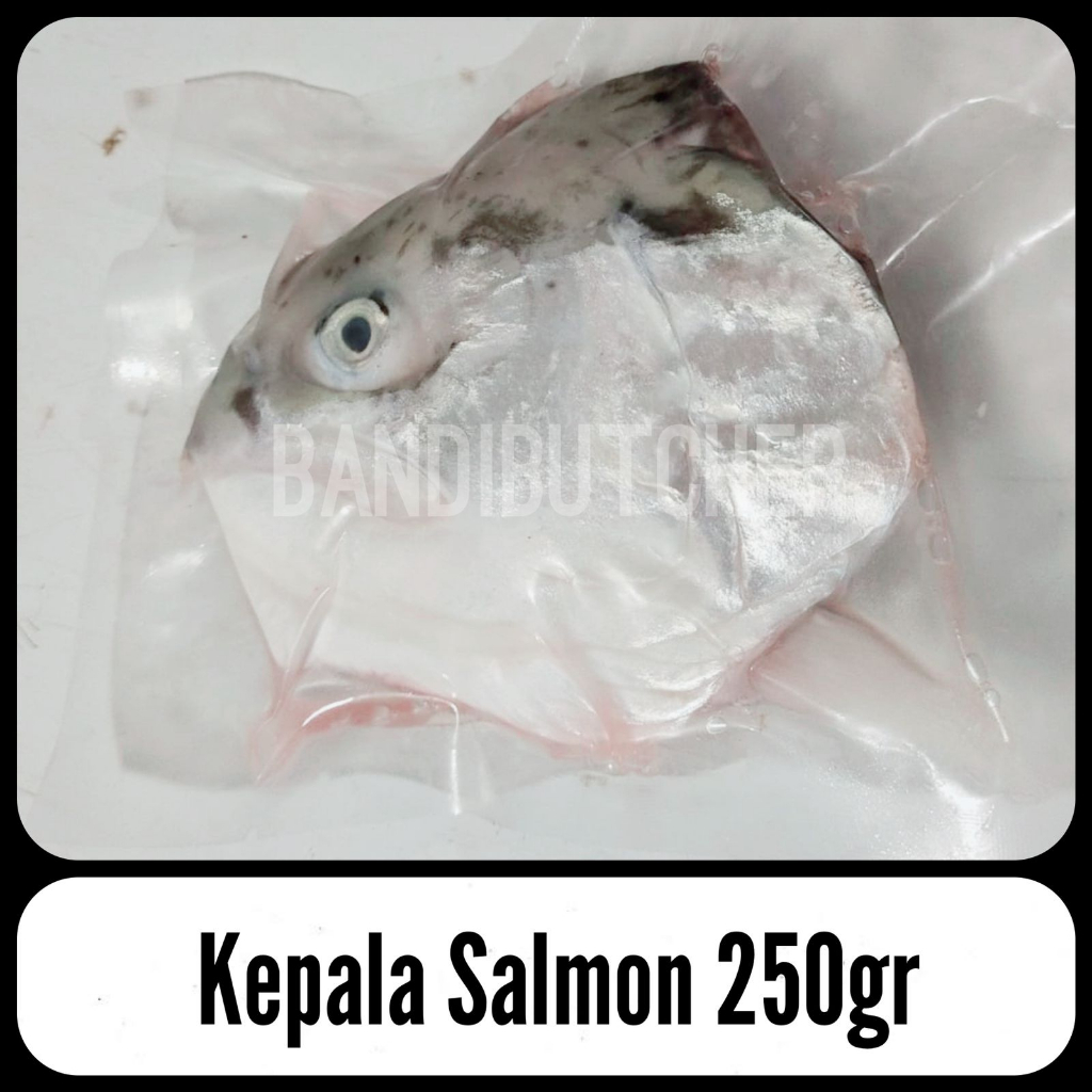 Kepala Ikan Salmon Norway Besar Jumbo Sushi Sop Murah Segar Beku