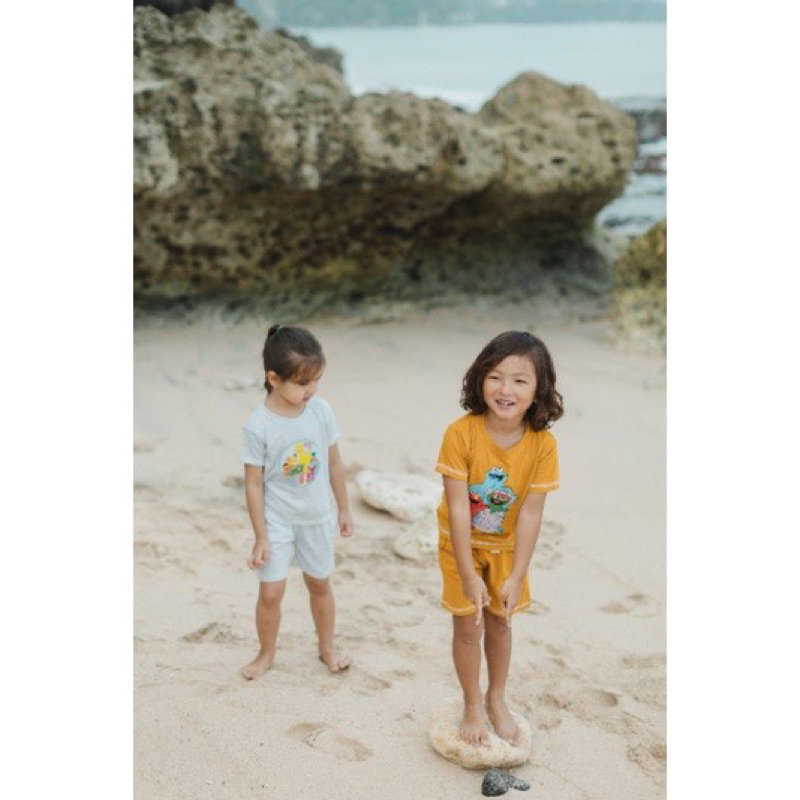 Beeboodesign sesame street set