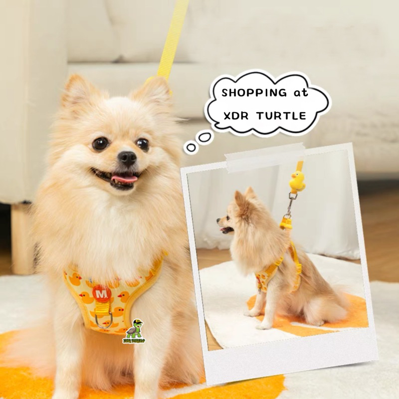 TALI TUNTUN HARNESS ANJING HARNESS KUCING ROMPI ANJING ROMPI KUCING TALI KUCING TALI ANJING