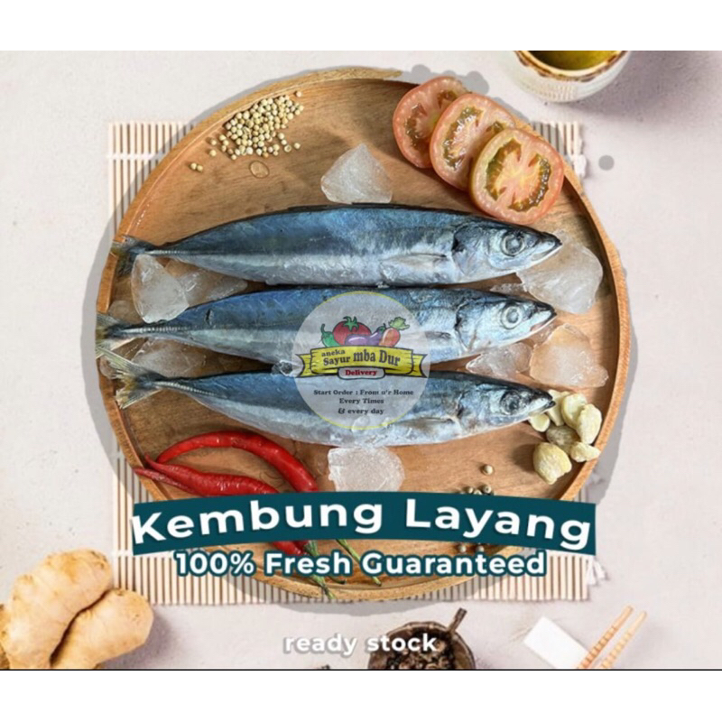 

Ikan Kembung Layang Segar 500 Gram - 1 Kg