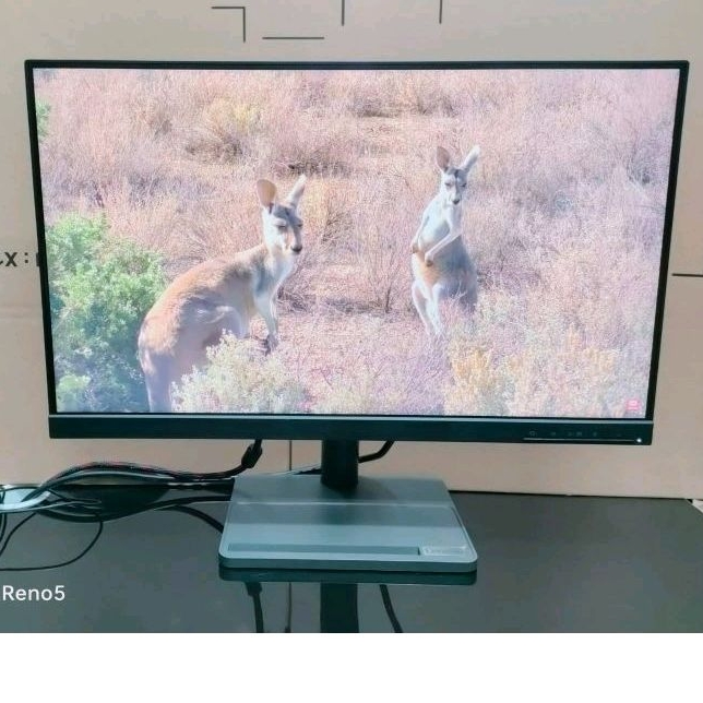 Monitor LED Lenovo 24 Inch, FHD, Frameless, HDMI, Keluaran Terbaru, Super Mulus, Murah