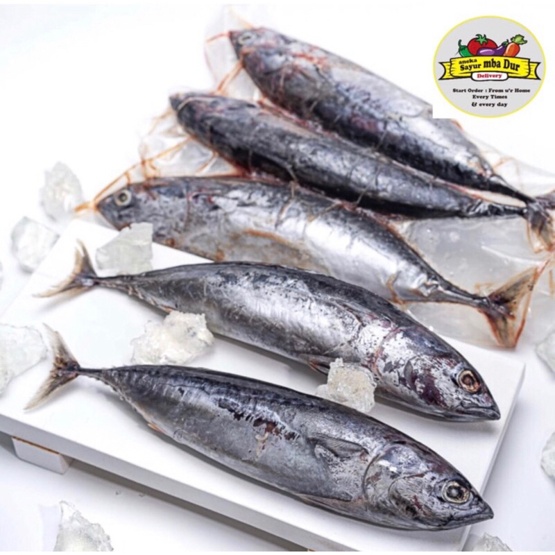 

Ikan Tongkol Fresh 1Kg