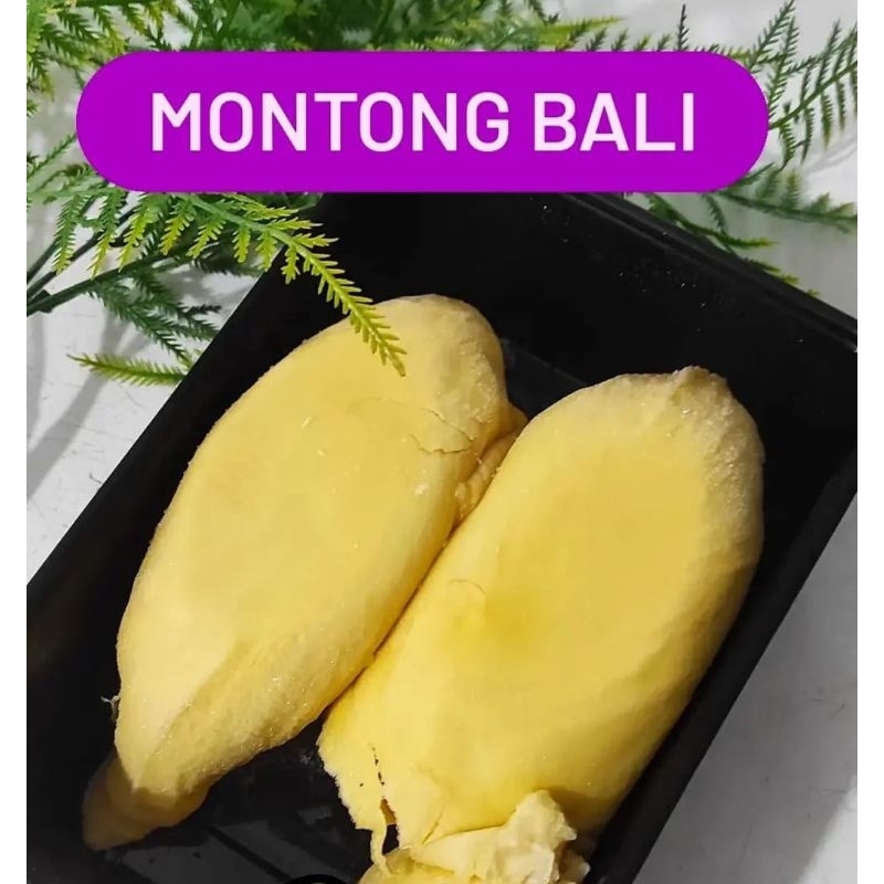 Duren premium medan 500gr murah Duren montong bali 500gr Duren palu parigi kuning duren palu hologram pink 500gr dan duren medan 900gram frozen