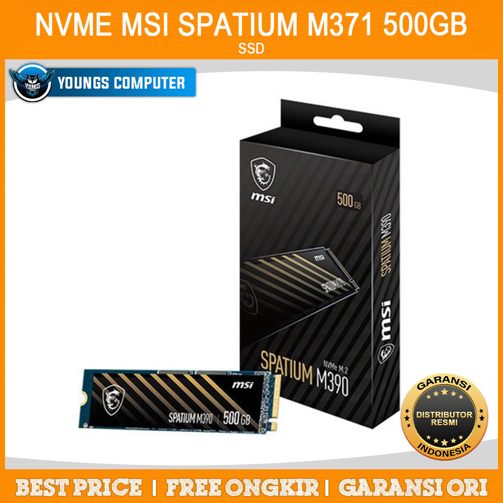 SSD NVME MSI SPATIUM M371 PCIe 3.0 | NVME M.2 500GB