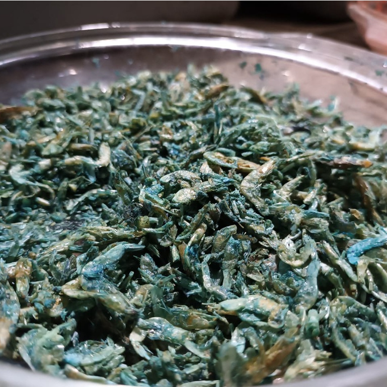 BLUE - Super Udang Kering 1 kg Pakan Ikan Channa Maru Yellow Sentarum Auranti Limbata Pulchra Oscar 