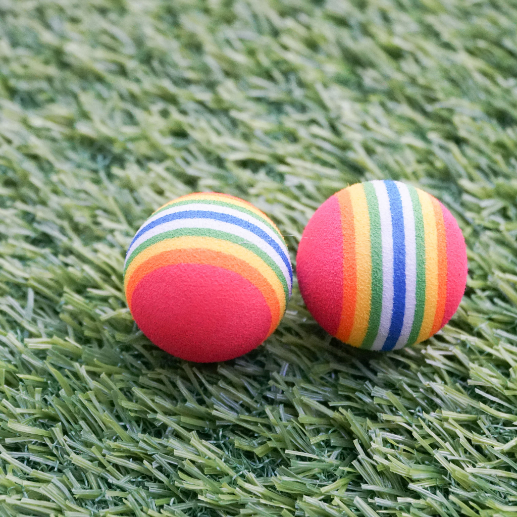 Jual Mainan Bola Berwarna Pelangi Untuk Kucing Elatis Rendah Mainan
