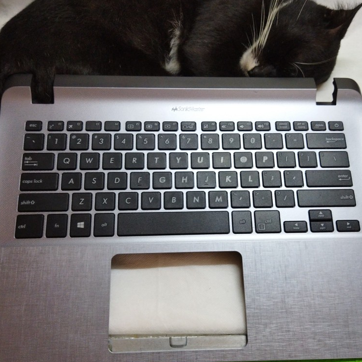 Keyboard Frame Laptop Asus A407 X407 A407U A407UA A407M A407MA X407M