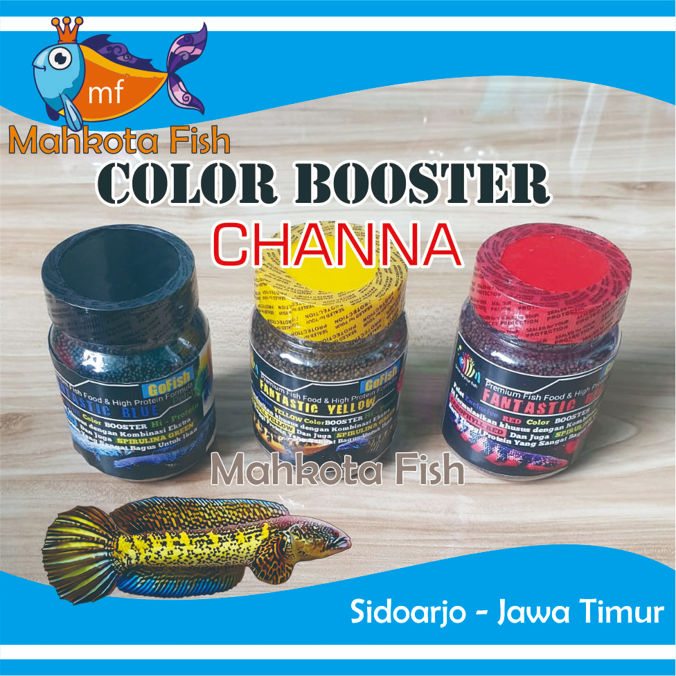 COLOUR BOOSTER Chana | Pelet Ikan Chana | Pakan Warna Chana | Pakan Warna Cana | Cana | Channa | Pakan Predator