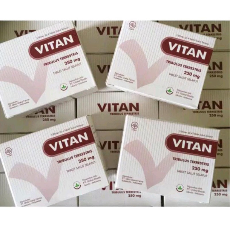 VITAN TRIBULUS TERRESTRIS 250 MG 1 BOX ISI 20 TABLET ORIGINAL
