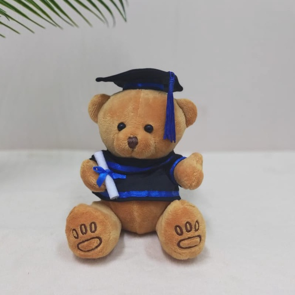 Boneka Bear Wisuda Jointed 17cm/boneka toga/boneka graduation/boneka lucu/florist