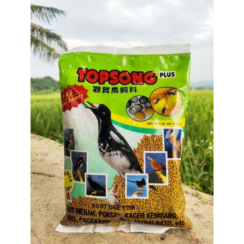 TOPSONG PLUS PURE HONEY TOP SONG VOER PUR PAKAN BEO MURAI BURUNG KACER
