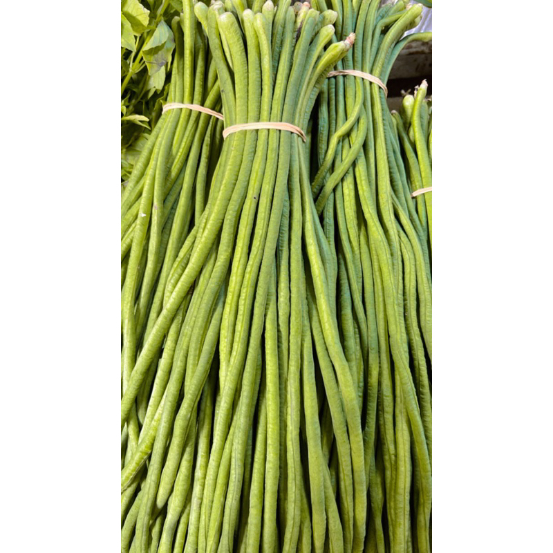 

kacang panjang 500gram