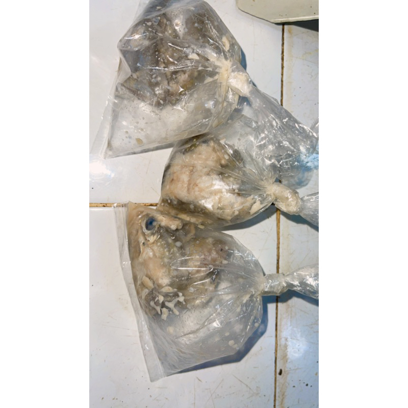 

Pekasam ikan
