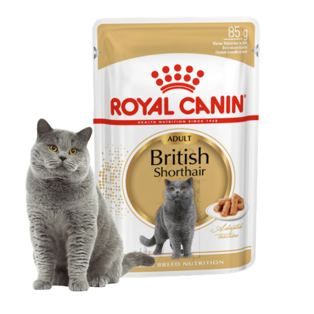 Royal Canin Pouch Brithis Short Hair 85gr