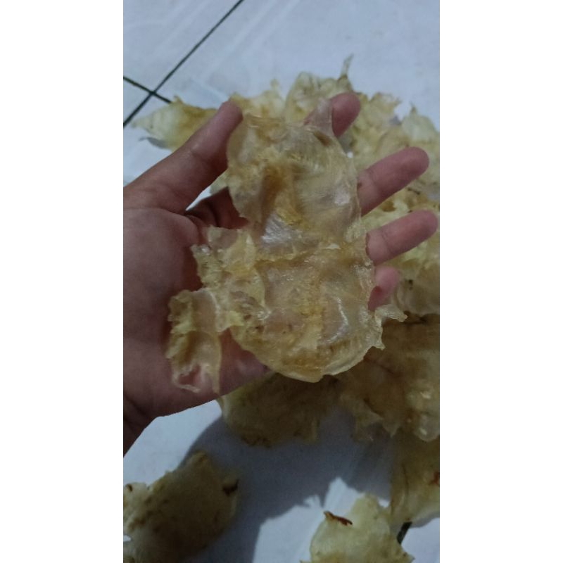 

Gelembung ikan mayung/hipio/ote